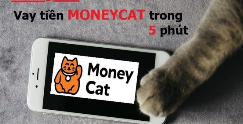 Vay MoneyCat - App vay tiền nhanh chóng chỉ sau 5 phút